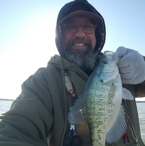 Meet your Posher, Billy